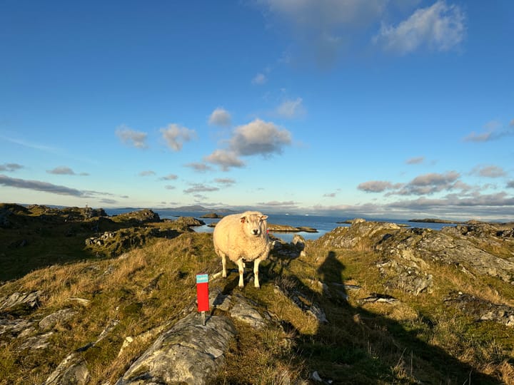 Adventshelg på ei øy